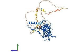 AlphaFold protein structure predicition of Human Recombinant TP53 Protein, UniprotID P04637