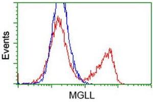 HEK293T cells transfected with either RC218358 overexpress plasmid (Red) or empty vector control plasmid (Blue) were immunostained by anti-MGLL antibody (ABIN2454597), and then analyzed by flow cytometry. (MGLL anticorps)