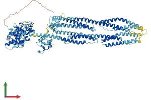 AlphaFold protein structure predicition of Human Recombinant ACTN3 Protein, UniprotID Q08043