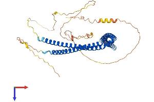 AlphaFold protein structure predicition of Human Recombinant SH3BP5 Protein, UniprotID O60239