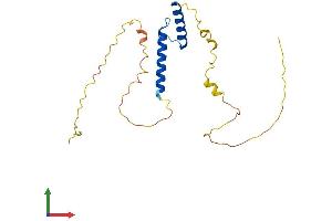 AlphaFold protein structure predicition of Mouse Recombinant Tcf23 Protein, UniprotID Q9JLR5