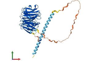 AlphaFold protein structure predicition of Human Recombinant POC1A Protein, UniprotID Q8NBT0