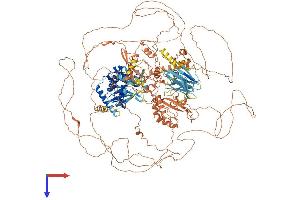 AlphaFold protein structure predicition of Human Recombinant NRK Protein, UniprotID Q7Z2Y5
