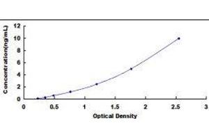 Pyruvate Dehydrogenase beta (PDHB) ELISA Kit