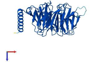 AlphaFold protein structure predicition of Human Recombinant GNB3 Protein, UniprotID P16520