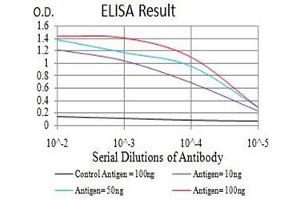Black line: Control Antigen (100 ng),Purple line: Antigen (10 ng), Blue line: Antigen (50 ng), Red line:Antigen (100 ng) (ASH2L anticorps  (AA 493-628))