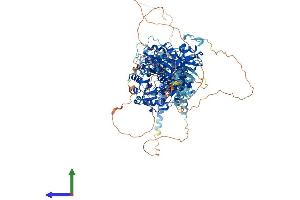 AlphaFold protein structure predicition of Mouse Recombinant Kcnma1 Protein, UniprotID Q08460