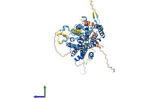 AlphaFold protein structure predicition of Mouse Recombinant Slc23a3 Protein, UniprotID Q60850