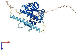 AlphaFold protein structure predicition of Human Recombinant TRMT10B Protein, UniprotID Q6PF06