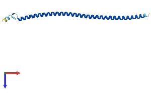 AlphaFold protein structure predicition of Mouse Recombinant Ift20 Protein, UniprotID Q61025