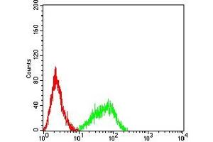 Flow cytometric analysis of HL-60 cells using CD182 mouse mAb (green) and negative control (red).