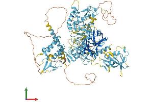 AlphaFold protein structure predicition of Human Recombinant CORIN Protein, UniprotID Q9Y5Q5