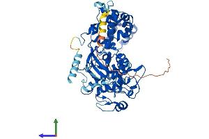 AlphaFold protein structure predicition of Human Recombinant GRK5 Protein, UniprotID P34947
