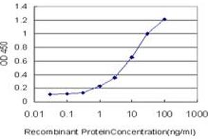 Detection limit for recombinant GST tagged HGD is approximately 0.