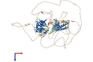 AlphaFold protein structure predicition of Human Recombinant ULK1 Protein, UniprotID O75385