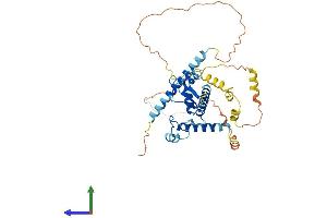 AlphaFold protein structure predicition of Mouse Recombinant Abra Protein, UniprotID Q8BUZ1