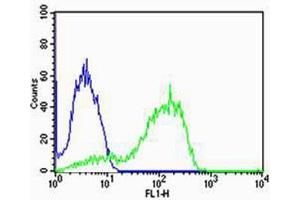 Flow cytometric analysis of MCF-7 cells using AG Antibody (C-term)(green, Cat(ABIN1944739 and ABIN2838563)) compared to an isotype control of rabbit IgG(blue).