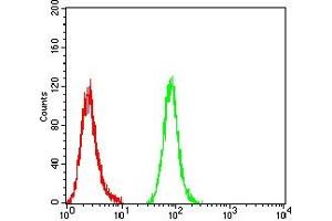 Flow cytometric analysis of THP-1 cells using CD196 mouse mAb (green) and negative control (red). (CCR6 anticorps)