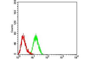 Flow cytometric analysis of K562 cells using CD119 mouse mAb (green) and negative control (red).