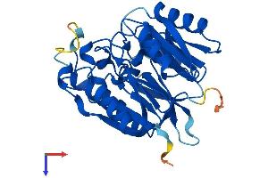 AlphaFold protein structure predicition of Human Recombinant DDAH2 Protein, UniprotID O95865