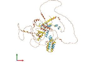 AlphaFold protein structure predicition of Mouse Recombinant Hic1 Protein, UniprotID Q9R1Y5