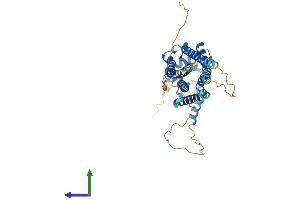 AlphaFold protein structure predicition of Human Recombinant S1PR5 Protein, UniprotID Q9H228