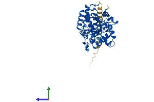 AlphaFold protein structure predicition of Human Recombinant ST8SIA5 Protein, UniprotID O15466