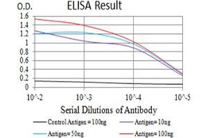 Black line: Control Antigen (100 ng),Purple line: Antigen (10 ng), Blue line: Antigen (50 ng), Red line:Antigen (100 ng)