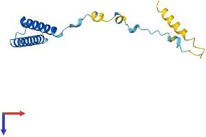 AlphaFold protein structure predicition of Human Recombinant MMGT1 Protein, UniprotID Q8N4V1