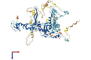 AlphaFold protein structure predicition of Human Recombinant FBXO40 Protein, UniprotID Q9UH90