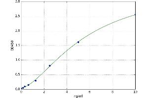 A typical standard curve (Connexin 43/GJA1 Kit ELISA)