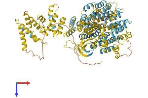 AlphaFold protein structure predicition of Human Recombinant PSMD2 Protein, UniprotID Q13200
