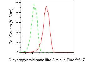 Flow cytometric analysis of Dihydropyrimidinase like 3 expression in HT- cells using Dihydropyrimidinase like 3 antibody (ABIN7798338), 1:2,000). (Recombinant DPYSL3 anticorps)