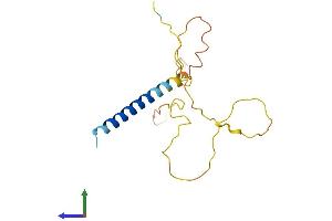 AlphaFold protein structure predicition of Human Recombinant FAM163A Protein, UniprotID Q96GL9