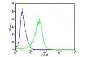 Flow cytometric analysis of A431 cells using PCSK9 antibody (green) compared to an isotype control of rabbit IgG (blue).