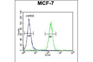 Flow cytometric analysis of MCF-7 cells (right histogram) compared to a negative control cell (left histogram). (THOC7 anticorps  (C-Term))