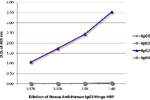 ELISA plate was coated with purified human IgG1, IgG2, IgG3, and IgG4. (Souris anti-Humain IgG3 (Hinge Region) Anticorps (HRP))