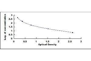 Typical standard curve