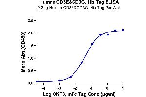 Immobilized Human CD3E&CD3G, His Tag at 2 μg/mL (100 μL/Well) on the plate.