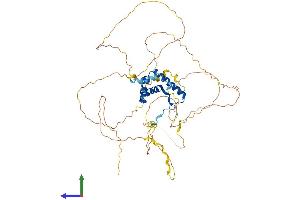 AlphaFold protein structure predicition of Human Recombinant SOX9 Protein, UniprotID P48436