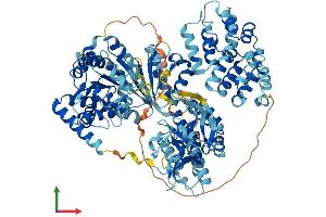 AlphaFold protein structure predicition of Mouse Recombinant Rigi Protein, UniprotID Q6Q899