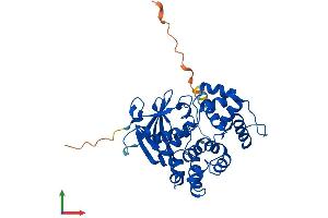 AlphaFold protein structure predicition of Human Recombinant OGG1 Protein, UniprotID O15527