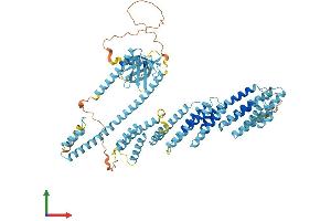 AlphaFold protein structure predicition of Human Recombinant EXOC8 Protein, UniprotID Q8IYI6