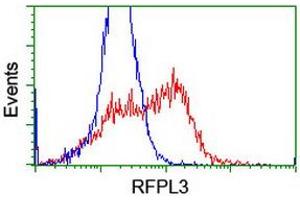 Flow Cytometry (FACS) image for anti-Ret Finger Protein-Like 3 (RFPL3) antibody (ABIN1500676) (RFPL3 anticorps)