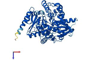AlphaFold protein structure predicition of Mouse Recombinant Thnsl2 Protein, UniprotID Q80W22
