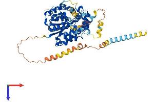 AlphaFold protein structure predicition of Mouse Recombinant Chst7 Protein, UniprotID Q9EP78