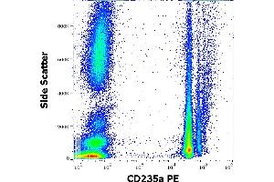 Flow cytometry surface staining pattern of human peripheral whole blood stained using anti-human CD235a (JC159) PE antibody (10 μL reagent / 100 μL of peripheral whole blood).
