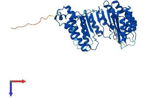 AlphaFold protein structure predicition of Mouse Recombinant Fbxo39 Protein, UniprotID Q5NBU5