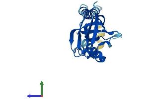 AlphaFold protein structure predicition of Human Recombinant SEC11A Protein, UniprotID P67812