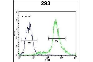 CTNNB1 Antibody (N-term) flow cytometric analysis of 293 cells (right histogram) compared to a negative control cell (left histogram). (CTNNB1 anticorps  (N-Term))